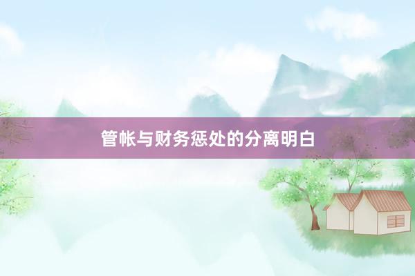 管帐与财务惩处的分离明白